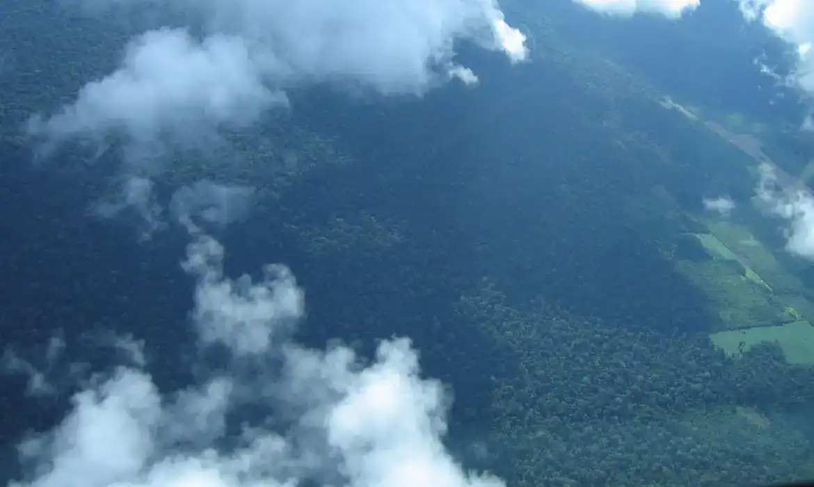 Vista aérea de área reflorestada na Amazônia com foco em crédito de carbono